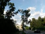  Hilfeleistung: Zürcherstrasse, Tagelswangen  