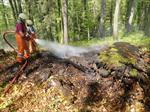  Waldbrand Chämleten 