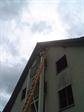  Bienen 21.06.2010 