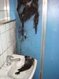  Brand SBB WC 